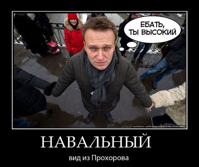 Навальный. Вид из Прохорова