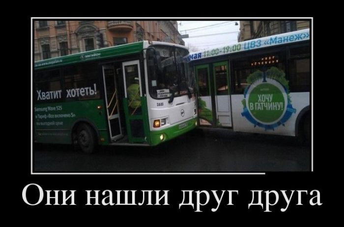 Они Нашли Друг Друга Фото Они Нашли Друг Друга Фото