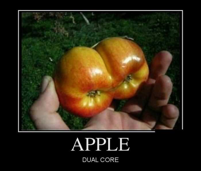 Apple. Dual core