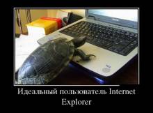 Идеальный пользователь Internet Explorer