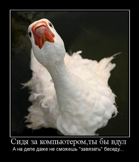   ,          ... 