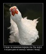  ,          ... 
