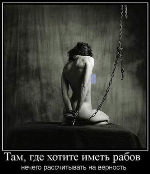 ,    ,     