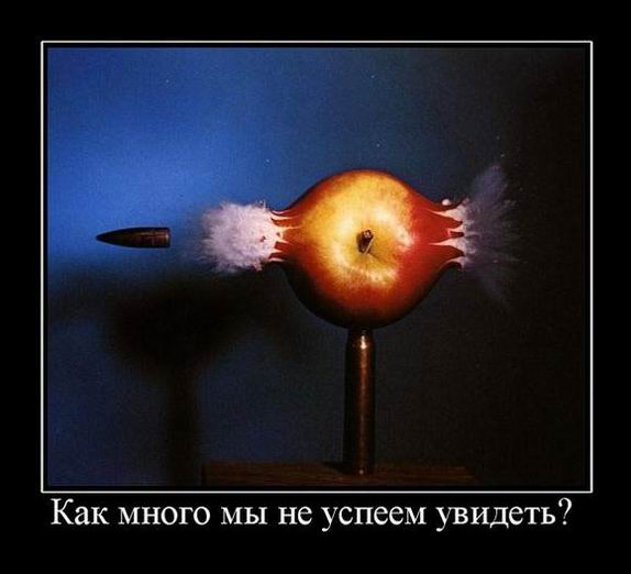     ;