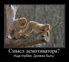  ?  .  ! 
