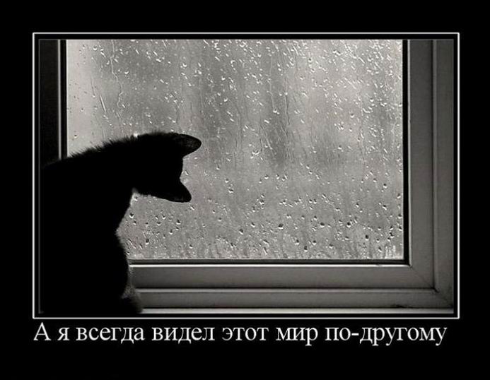 А я всегда видел этот мир по-другому 