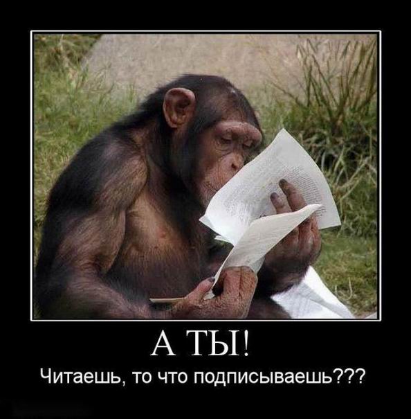  ! ,   ??? 