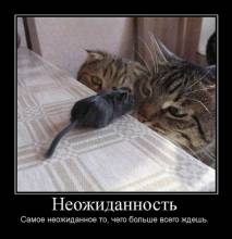 Неожиданность. Самое неожиданное то, чего больше всего ждешь. 
