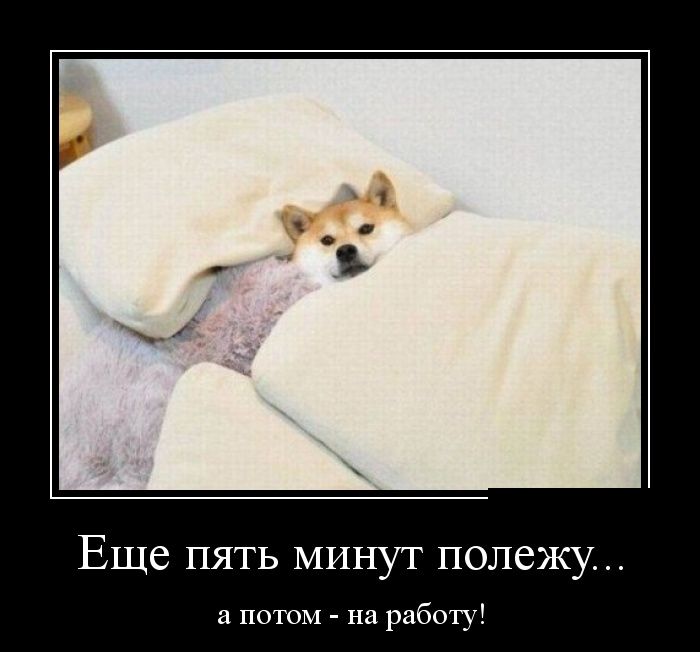    ...   -  ! 