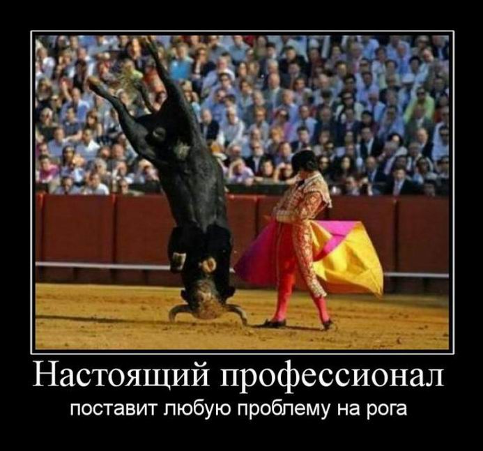 Настоящий профессионал поставит любую проблему на рога