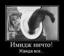  !  ... 
