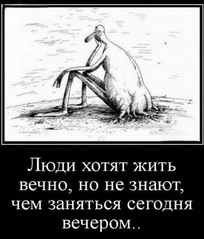  ,    ,   . 