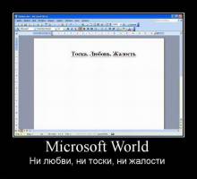 Microsoft World.  ,  ,   
