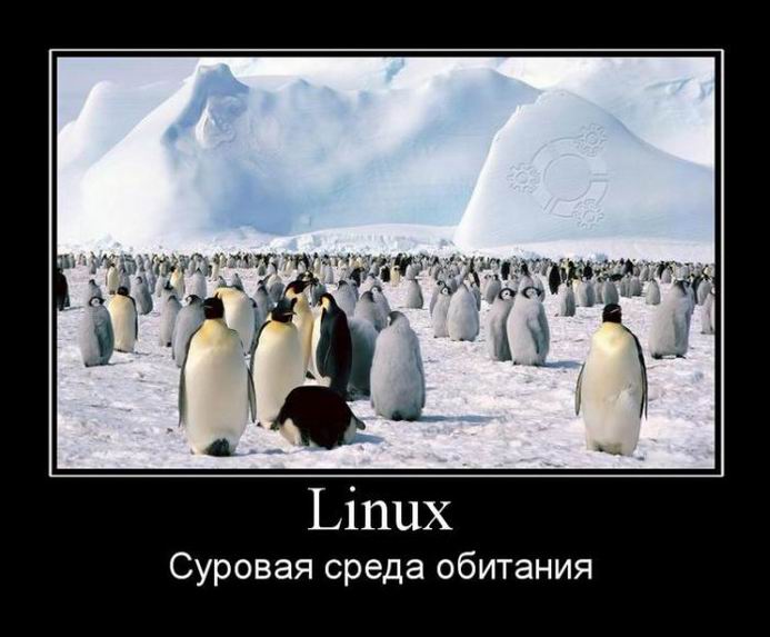 Linux.    