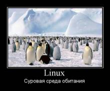 Linux.    