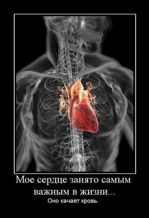       ...   . 