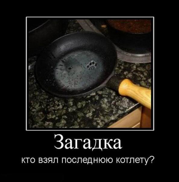 .    ? 