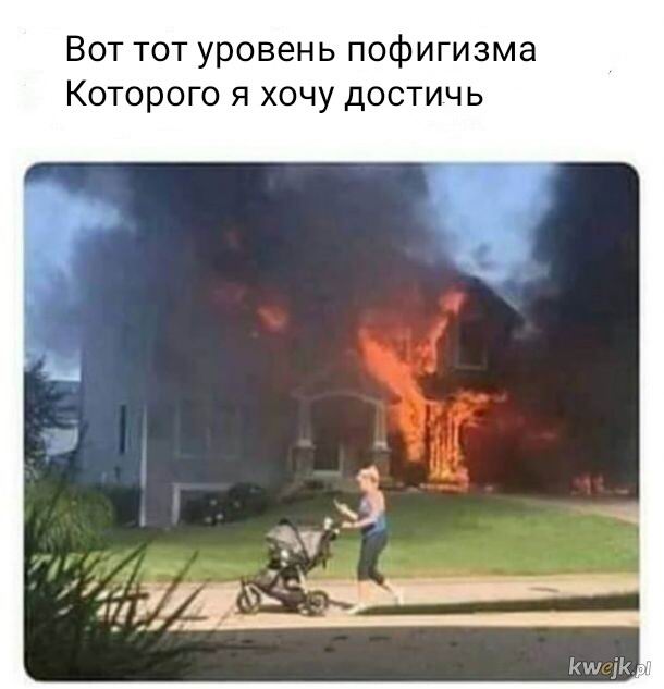   ?   ! 