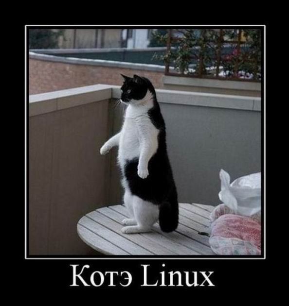  Linux