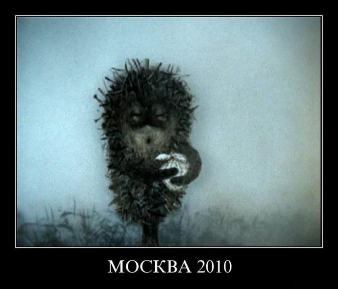  2010