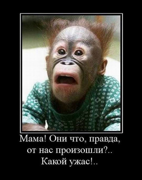 !  , ,   ?..  !.. 