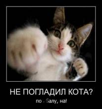   ?  , !