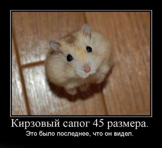   45 .   ,   . 