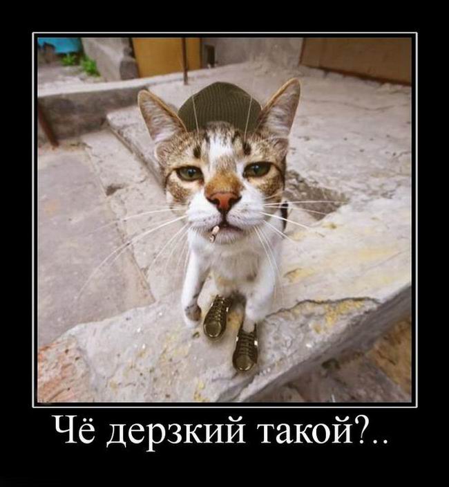 ׸  ?..