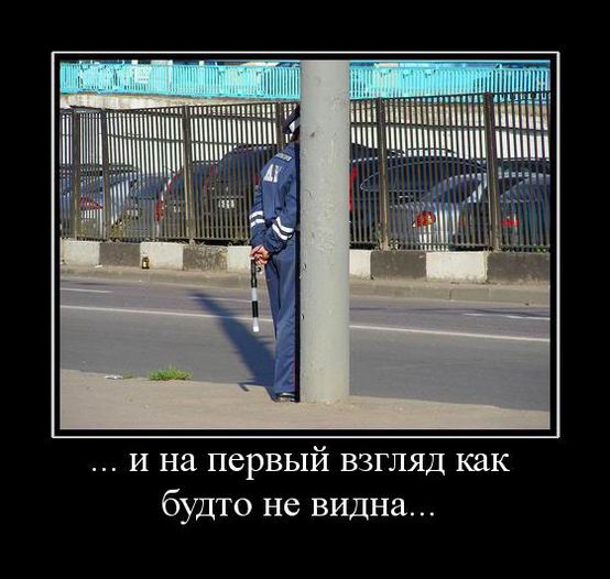 ...        ... 