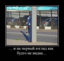 ...        ... 
