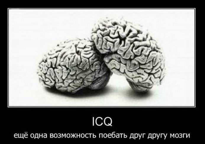 ICQ.        