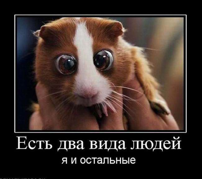 Есть два вида людей, я и остальные 