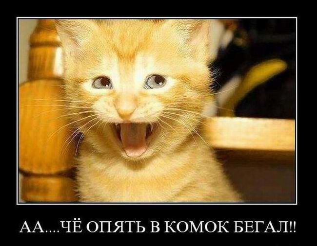 ...     !! 