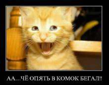 ...     !! 