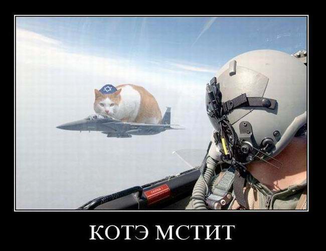 Котэ мстит