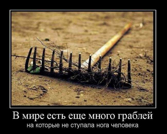 В мире есть еще много граблей, на которые не ступала нога человека 