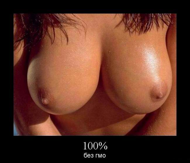 100%  