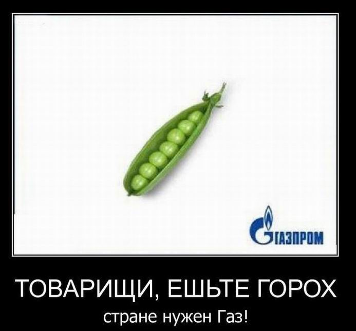 ,  ,   ! 