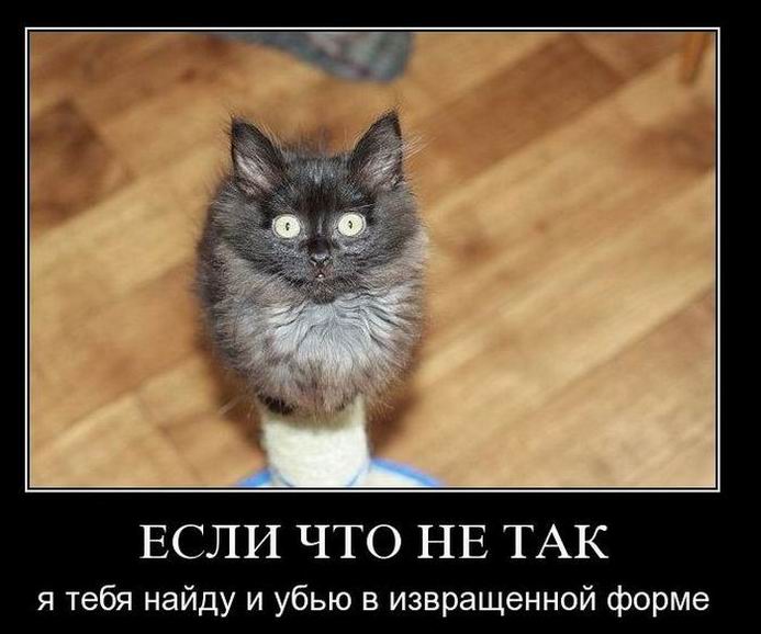Если что не так я тебя найду и убью в извращенной форме 