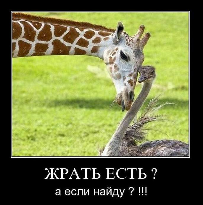  ?   ?!!! 