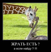  ?   ?!!! 