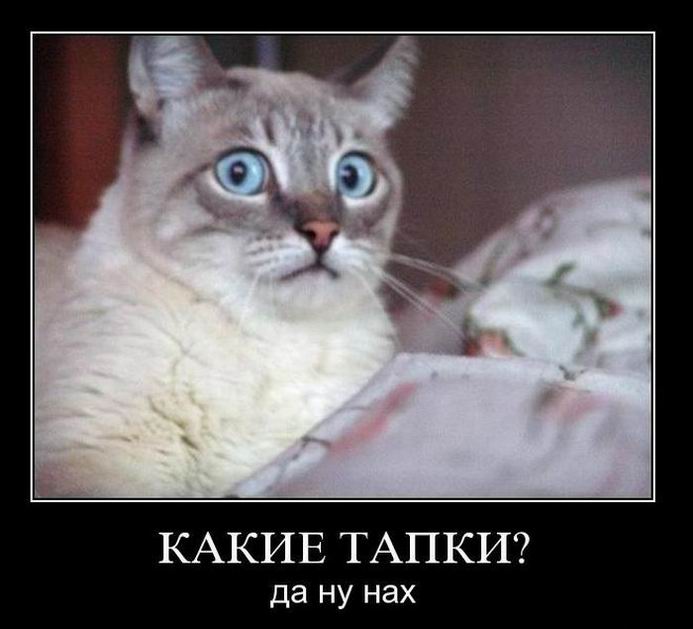  ? L   