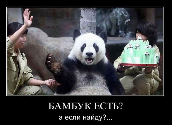  ?   ?... 