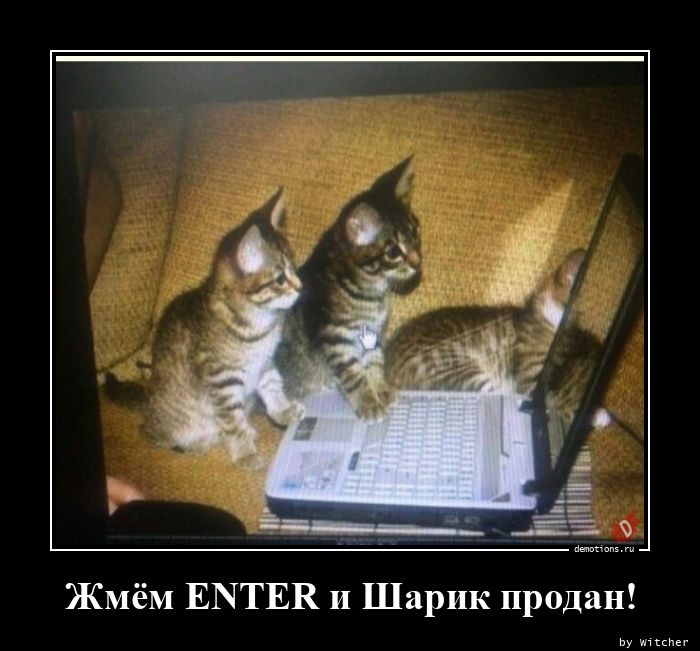 Enter! 