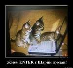 Enter! 