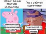 -   .... 