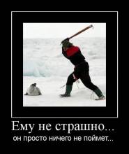   ...     ... 