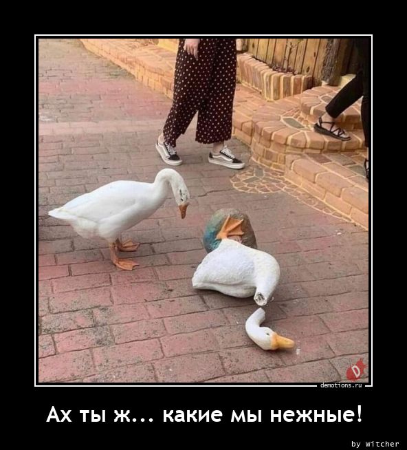 Ах ты ж ёпт!!! 