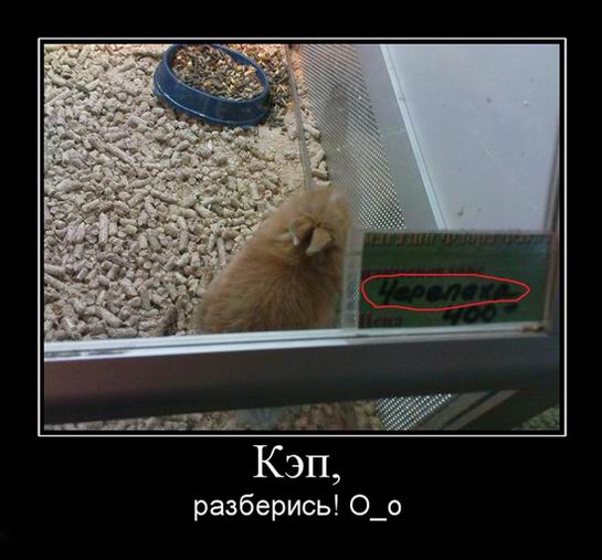 , ! _
