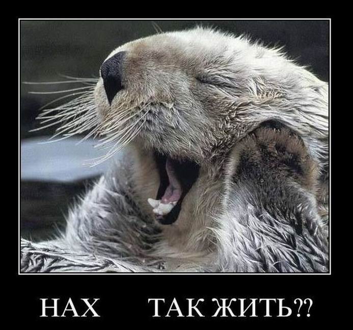   ?? 